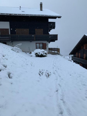 Les Œillets, Les portes du Soleil